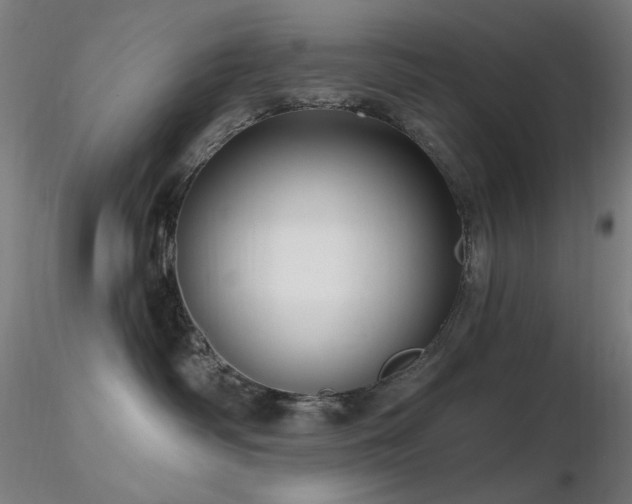 X0000116810334200912181350
