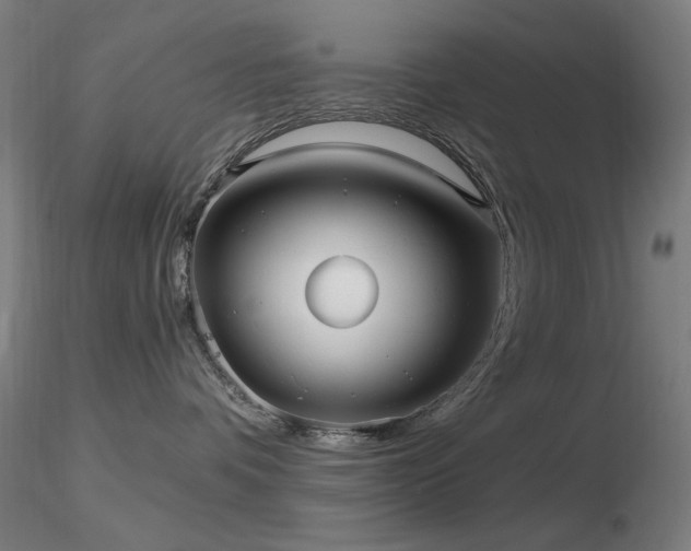 X0000116810336200912181350