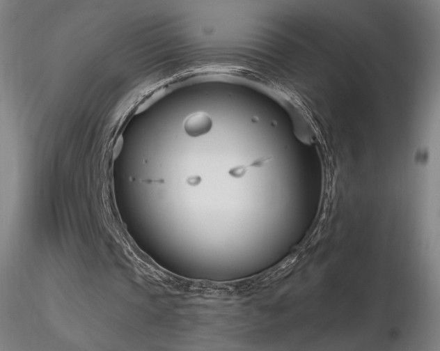X0000116810337200912181350