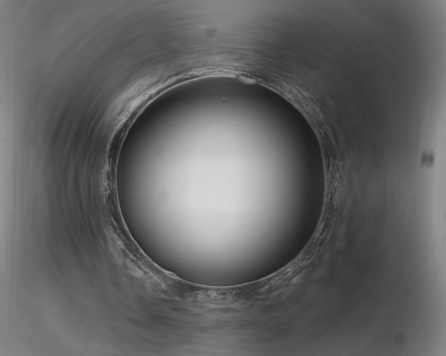 X0000116810338200912181350