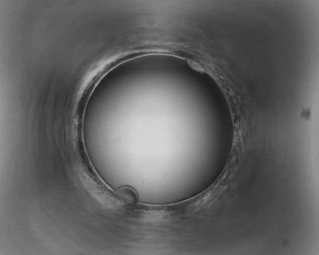 X0000116810342200912181350