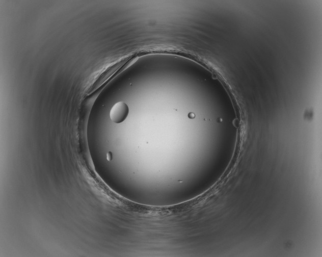 X0000116810345200912181350