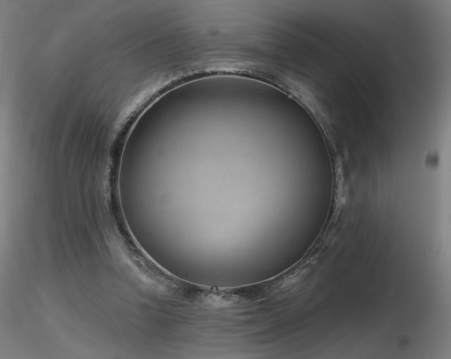 X0000116810346200912181350