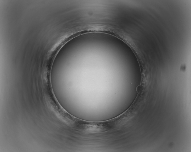 X0000116810347200912181350