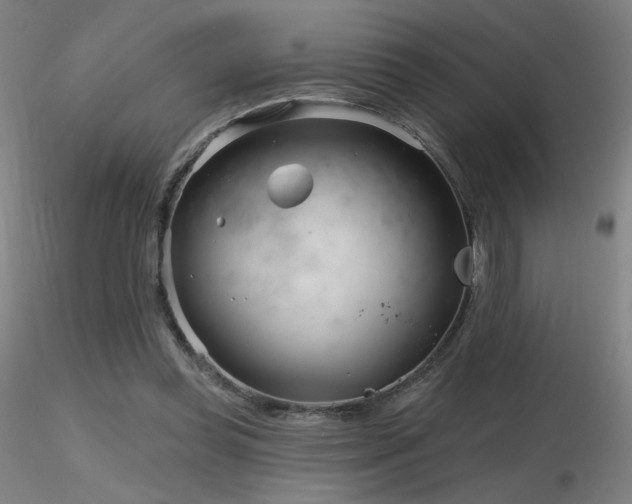 X0000116810349200912181350