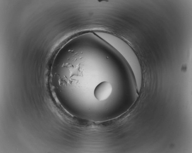 X0000116810350200912181350