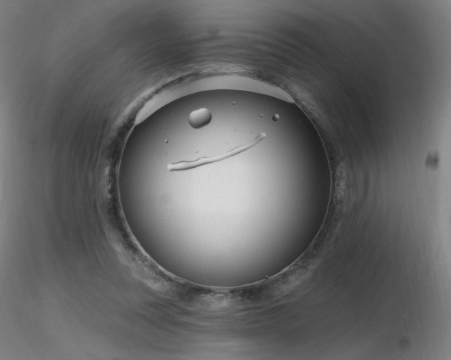 X0000116810351200912181350