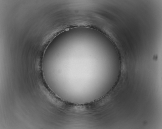 X0000116810353200912181350