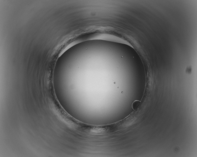X0000116810357200912181350