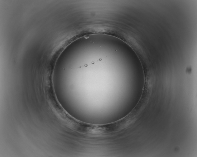 X0000116810359200912181350