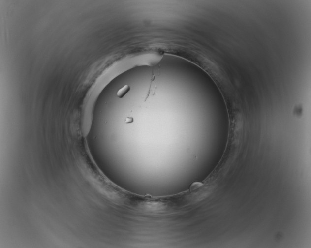 X0000116810361200912181350