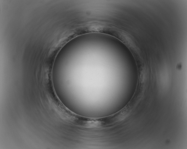 X0000116810363200912181350