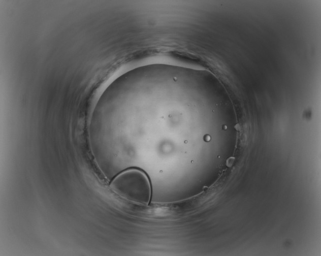 X0000116810365200912181350