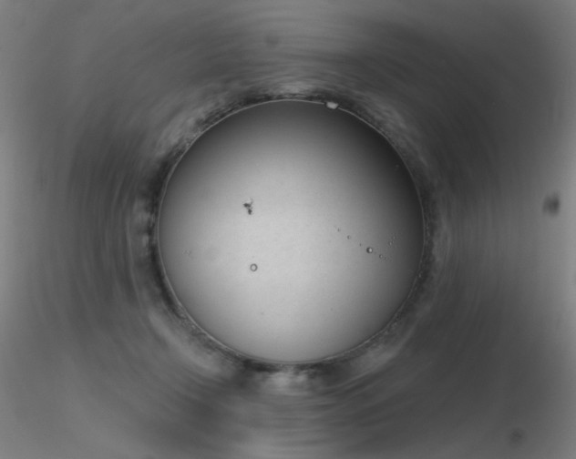X0000116810366200912181350