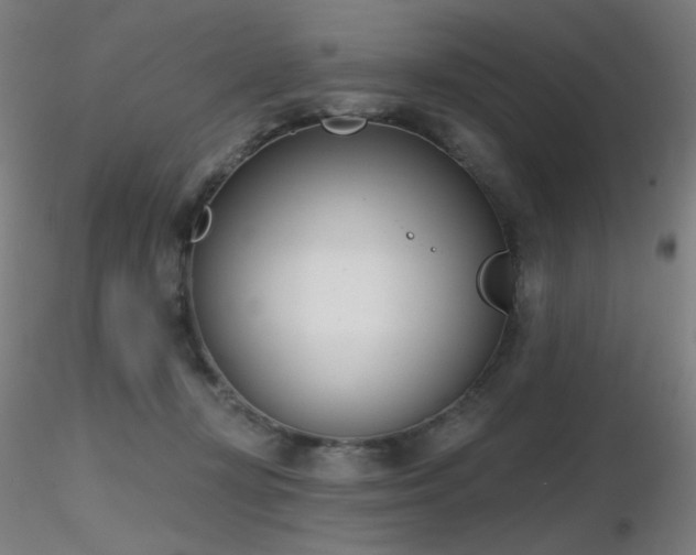 X0000116810367200912181350