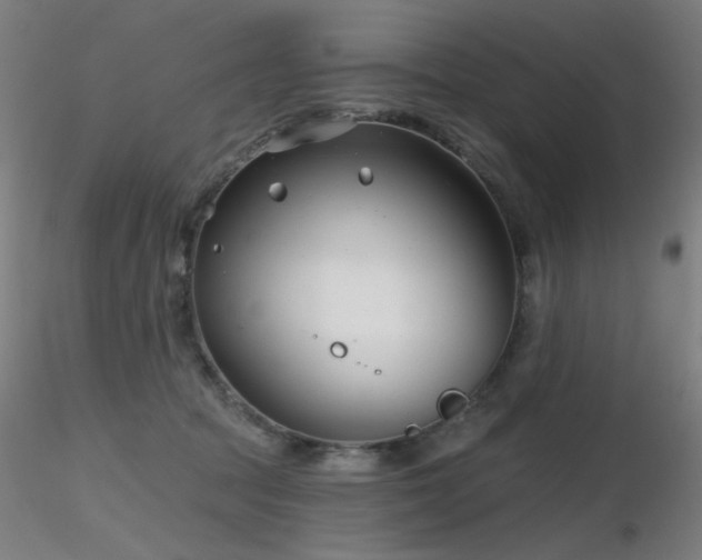 X0000116810369200912181350