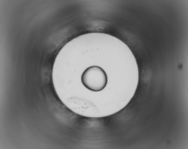 X0000116810370200912181350