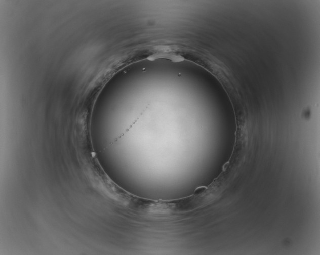 X0000116810373200912181350