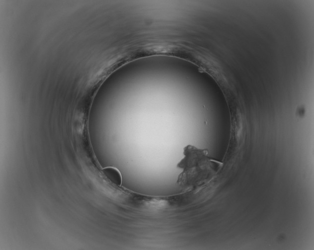 X0000116810374200912181350