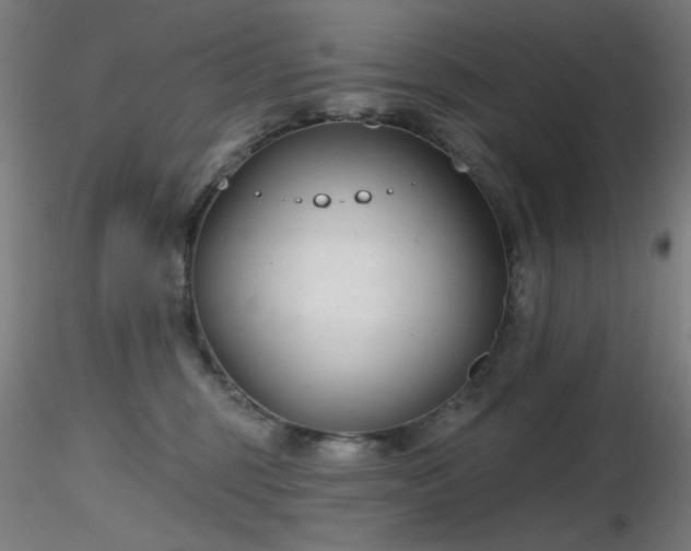 X0000116810375200912181350