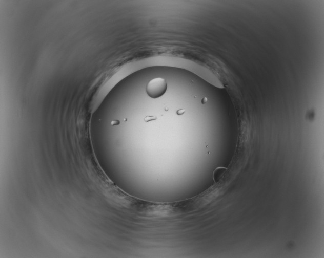 X0000116810377200912181350