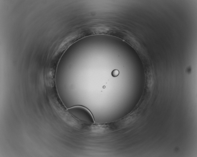 X0000116810378200912181350