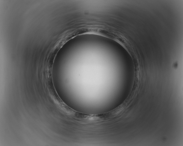 X0000116810379200912181350