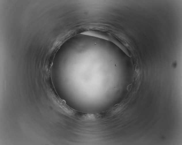 X0000116810381200912181350