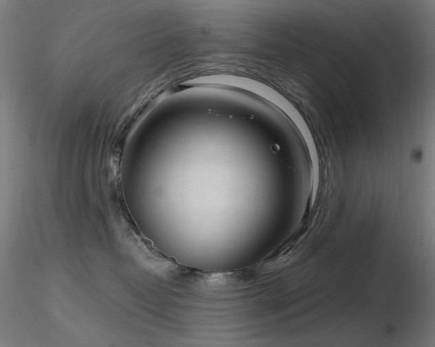 X0000116810382200912181350
