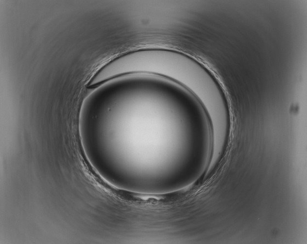 X0000116810385200912181350