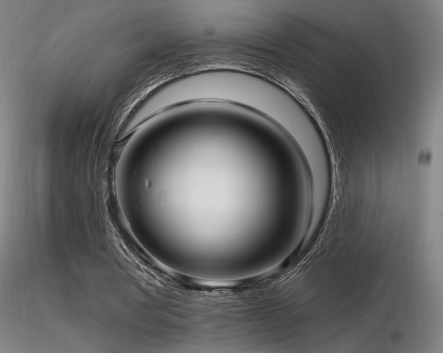 X0000116810386200912181350