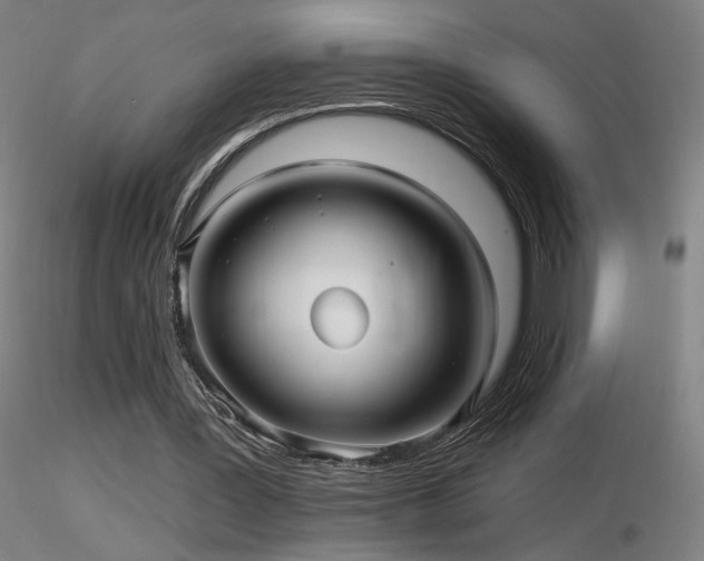 X0000116810387200912181350