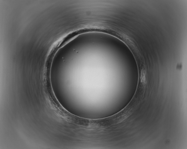 X0000116810388200912181350
