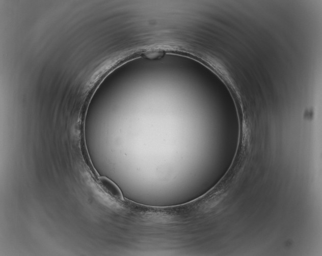 X0000116810389200912181350