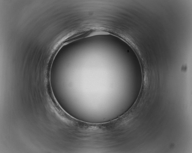 X0000116810390200912181350