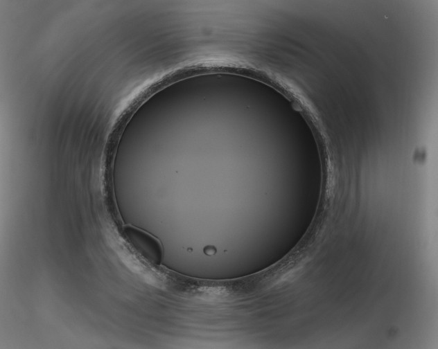 X0000116810391200912181350