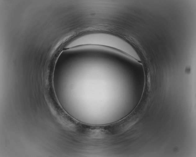 X0000116810396200912181350