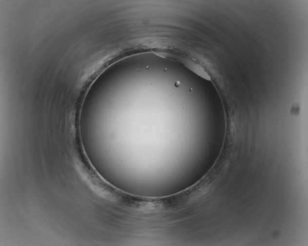 X0000116810398200912181350