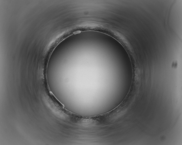 X0000116810399200912181350
