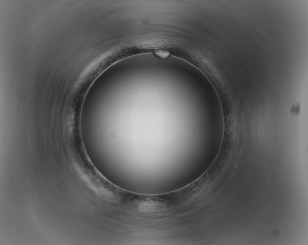 X0000116810400200912181350