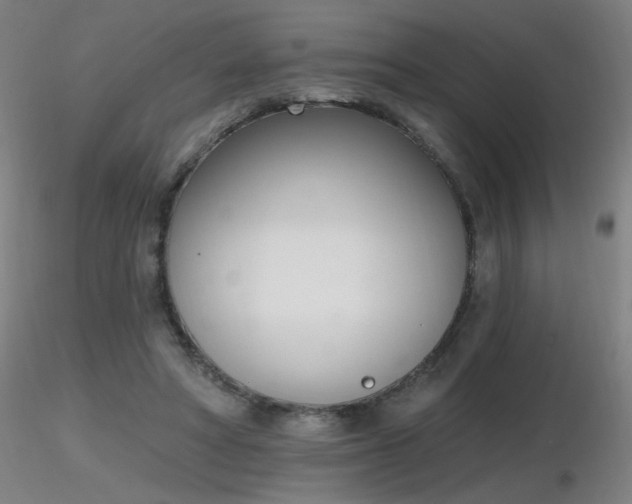 X0000116810402200912181350