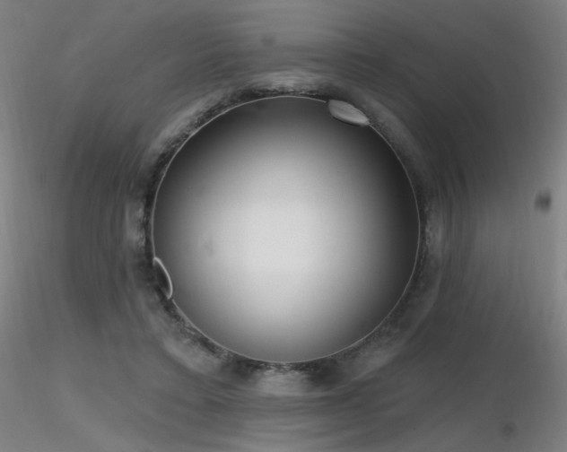 X0000116810403200912181350