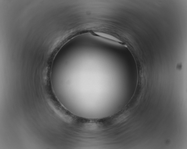 X0000116810404200912181350