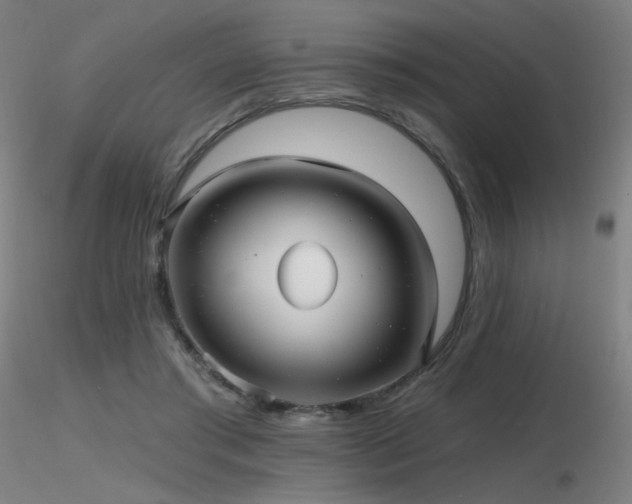 X0000116810405200912181350