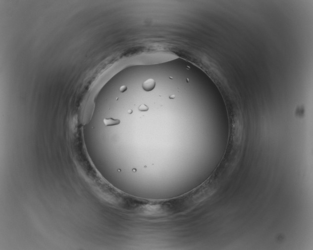 X0000116810406200912181349