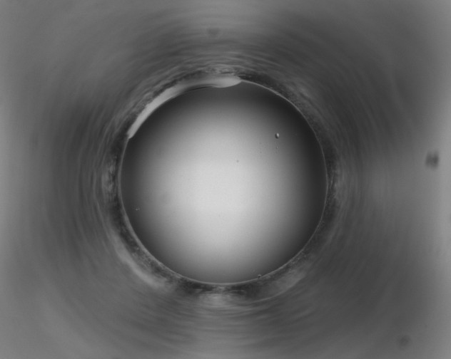 X0000116810408200912181349