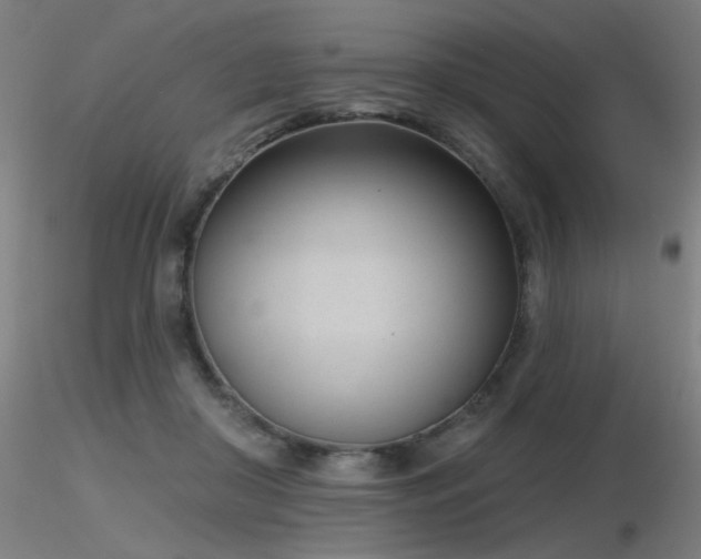 X0000116810410200912181349