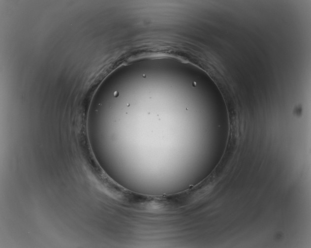 X0000116810412200912181349