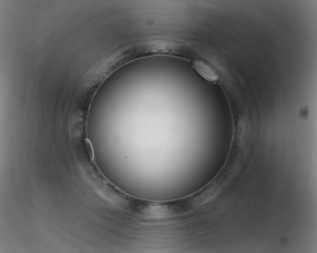 X0000116810413200912181349