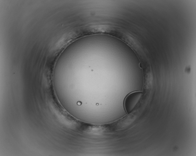 X0000116810414200912181349